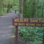 trail at Huntley